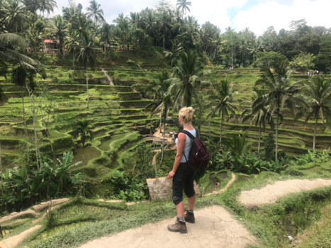 Bali - Rijstterassen Tegalalang