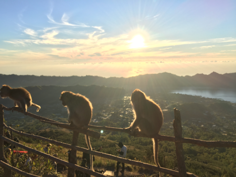 Bali - At the top of the volcano