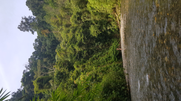 Sumatra - Uitzicht slaap plek  in jungle