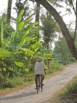 Karimunjawa Marine National Park - Yogyakarta.