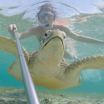 Gili-eilanden - Turtle selfie