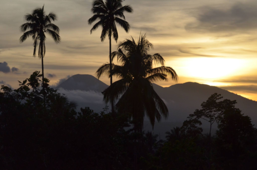 Sulawesi - Omgeving Tasikoki