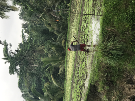 Bali - Good old but still new times