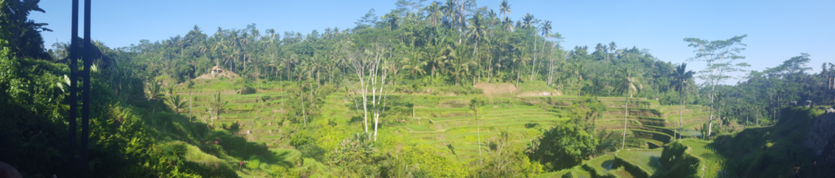 Rondreis Bali & Java - Het meest rustgevende gebied!