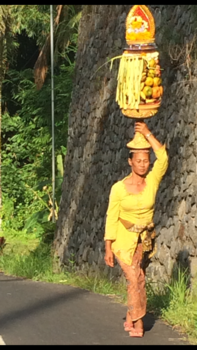 Bali - Perfecte schoonheid