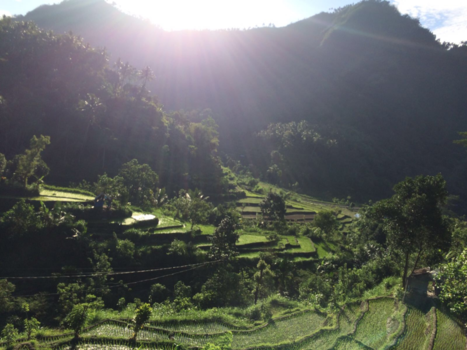 Lombok - Rijstterrace