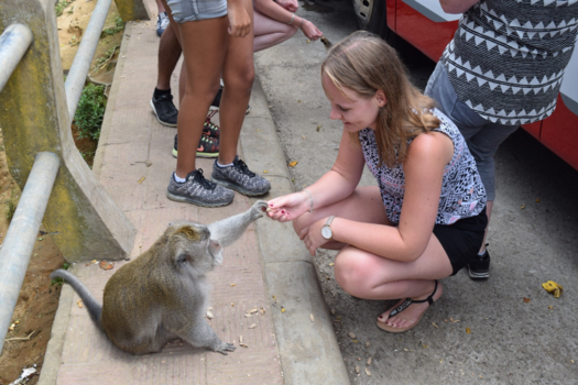 Rondreis Bali & Java - Bananen en nootjes voeren