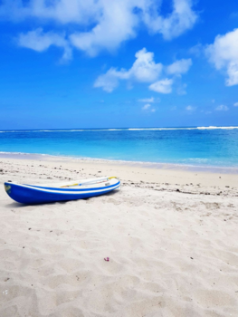 Rondreis Bali - Mijn droom is werkelijkheid geworden op mooi Bali!