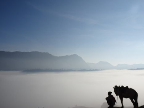 Rondreis Indonesië in vier weken - Waar mens en dier een worden