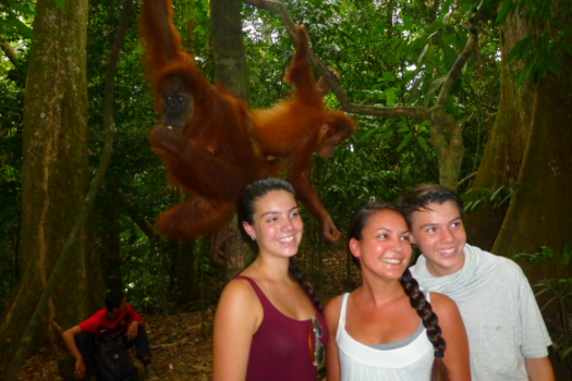 Rondreis Sumatra - Naturel world - Free Forest - Urang Utang Female