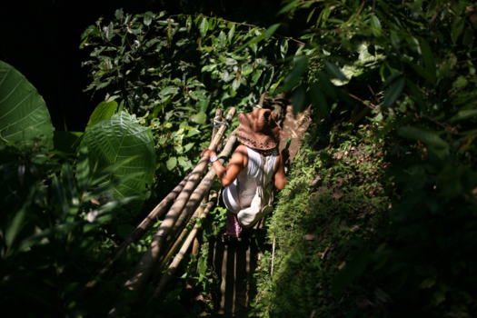 Bali - In to the green