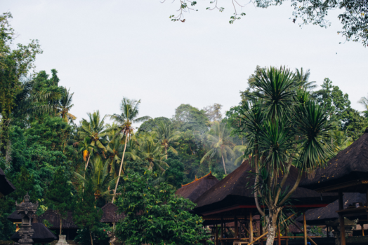 Bali - Daken in de Jungle