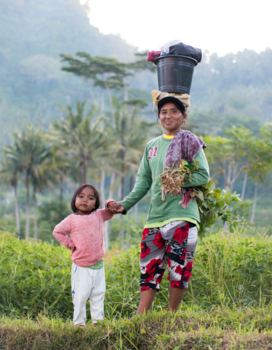 Bali - Sidemen Women