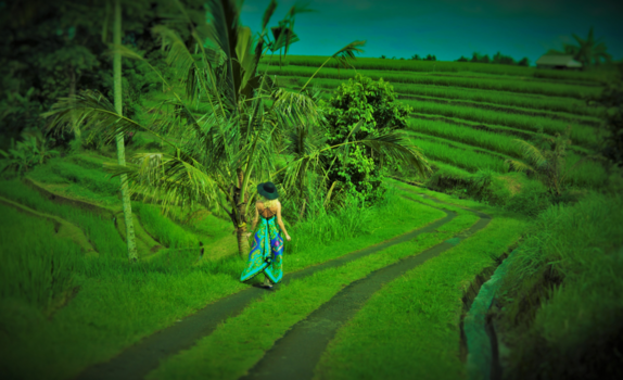 Bali - Beautiful Bali