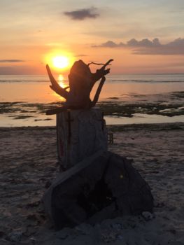 Rondreis Bali & Lombok - OMG I don’t wanba go home