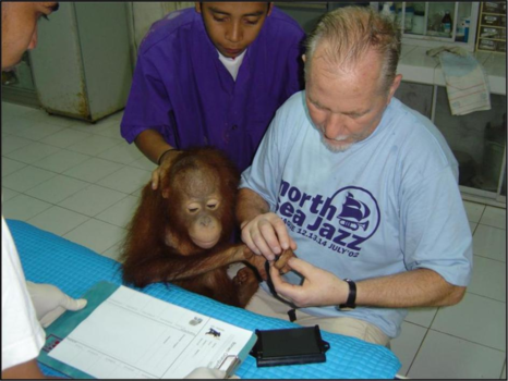 Kalimantan - Jan Geerdink here makes fingerprints of a young orangutan  on Borneo Wanariset