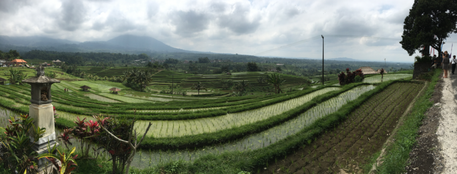 Bali - Staarmomentje