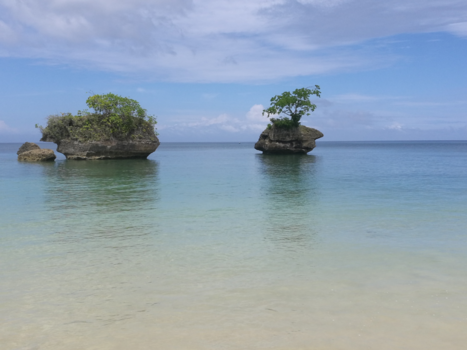 Molukken - Aru archipel