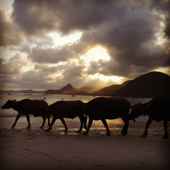 Lombok - Sunset by pantai  selongbelanak lombok selatan