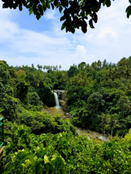 Bali - De mooi groene Tenungan waterval!