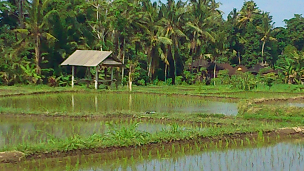 Bali - Een stukje echte Bali..