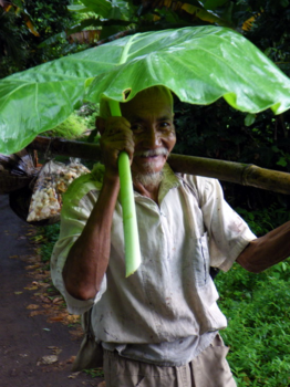 Rondreis Bali & Lombok - regenbuitje!