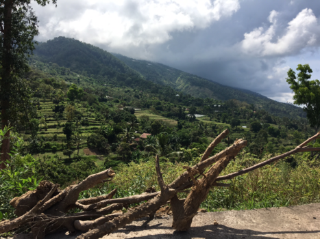 Bali - Somewhere high in the mountains