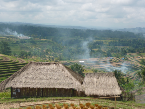 Bali - Mooiste rijstvelden van Bali, Jatiluwih