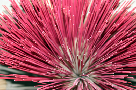 Rondreis Bali & Java - wierook fabriek