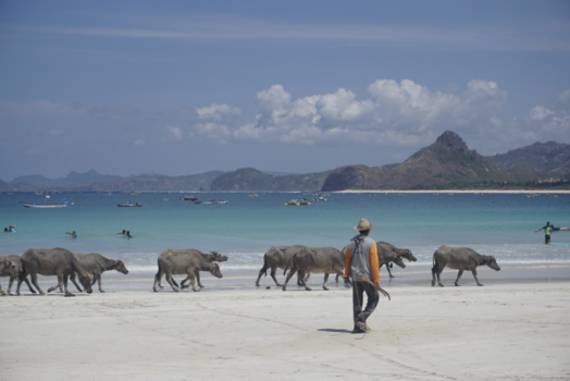 Lombok - Selong Belanak Beach, Lombok
