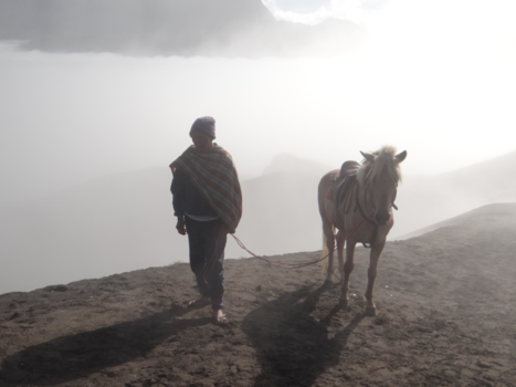 Rondreis Indonesië in vier weken - Mount Bromo 11july13