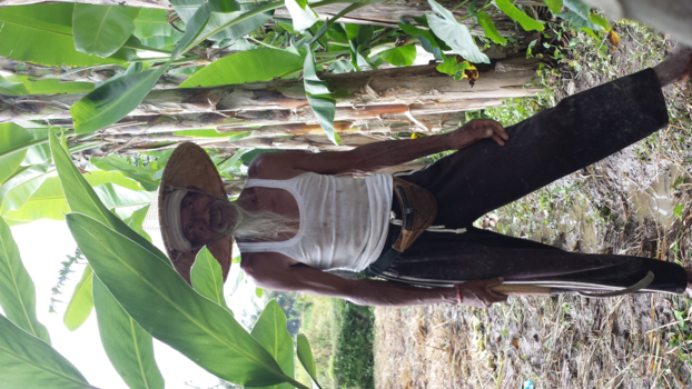 Bali - Arbeider op sawah