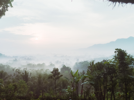 Bali - Borobodour morning