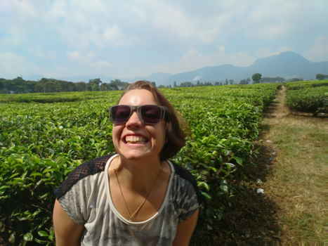 Rondreis Bali & Java - Even lachen bij de theeplantage van Bosscha