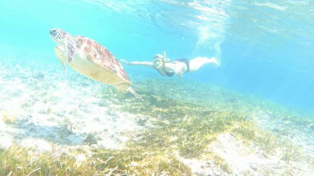 Gili-eilanden - Het wonderschone Gili Trawangan