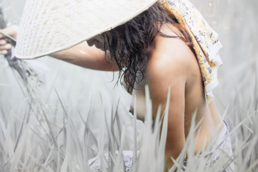 Bali - Werk in een rijstveld