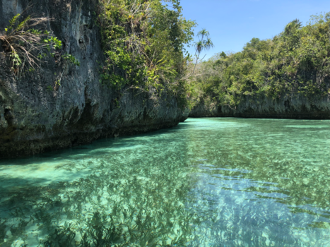 Kei eilanden - 50 SHADES OF GREEN