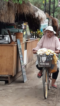 Bali - Delivery service Gili Air