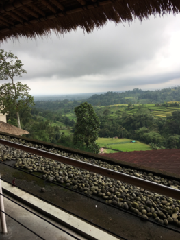 Bali - Bali (ubud)2017