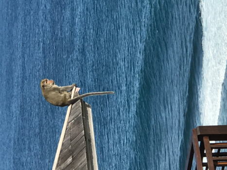 Bali - Bali Uluwatu 2017