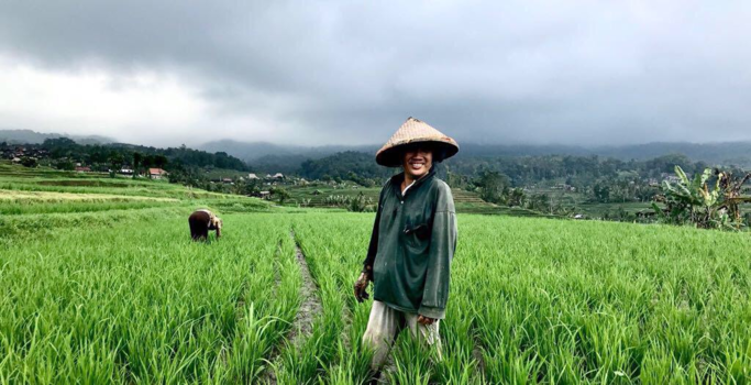 Bali - Donkere wolken boven Jatiluwih