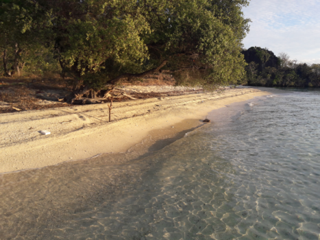 Molukken - Nusa Lima, Tanimbar Island Moluccas