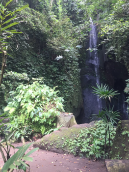 Bali - Waterfall