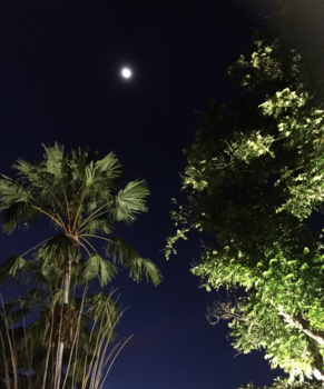 Bali - Beautiful Bali, day & night.