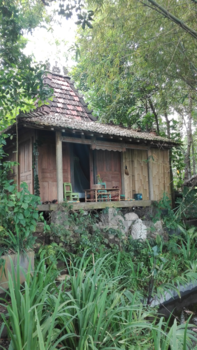 Jakarta - Ontkomen van alle drukte van de mens, genieten van alle herrie van de dieren