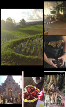 Bali - Echt genieten! Prachtige natuur en cultuur!