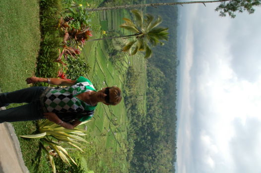 Bali - Mooi uitzicht op een sawa