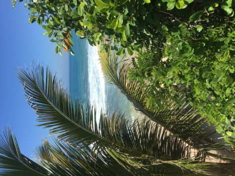 Bali - Prachtig uitzicht