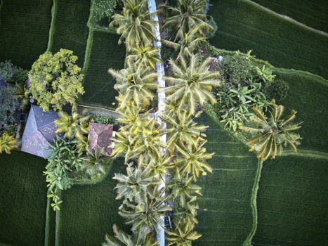 Bali - Bali vanuit de lucht...