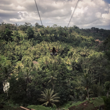 Bali - Swing away